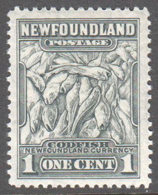 Newfoundland Scott 253 Mint VF - Click Image to Close